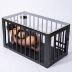 BDSM Furniture Bondage Tea Table Large Cage,With Neck Restraint,Adjustable Food Hatch,Acrylic&Carbon Steel - Image 6