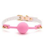 BDSM Macaron Gradient Color Silicone Bondage Ball Gag for Sex Games, Silicone Sex Toys Open Mouth SM Bite Gag, Bondage Restraints Sex Gag Muzzles for SM Games - Image 2