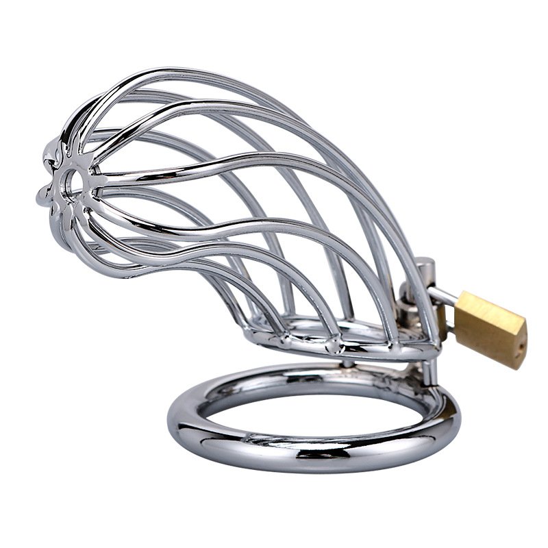 锁 BDSM Chastity Cage - Male Chastity Devices with Chastity Belt, 3 Sizes Rings (1.57", 1.77", 1.97"), 2 Keys & 1 Lock, Large Stainless Steel Penis Bondage Restraints BDSM Sex Toy for Men - Image 1