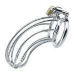 BDSM Chastity Cage - Male Chastity Devices with Chastity Belt, 3 Sizes Rings (1.57", 1.77", 1.97"), 2 Keys & 1 Lock, Large Stainless Steel Penis Bondage Restraints BDSM Sex Toy for Men - Image 3