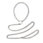 BDSM 31.89 Inches, Punk Style Metal Chain Leash, Sexy Choker, Restraint Sex Toys for Adults' Cosplay,SM Games - Image 2