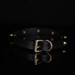 BDSM Genuine Leather Choker,Sex Studded Collar With Metal Lead Chain For BDSM Adult Play - Image 4