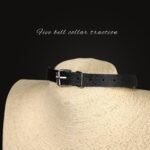 BDSM Five-Bell Collar With Metal Lead Chain, PU Material, For Adult Play, BDSM Games and Collectors - Image 3