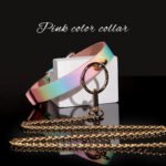 BDSM Macaron-Colored O-Ring Restraint Collar with Metal Lead Chain, PU Leather Choker, For Couples Sexual Play, BDSM Games, Role-Play